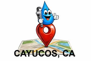 Water Fixers Plumbing and Filtration mascot marking service location in Cayucos California on a map