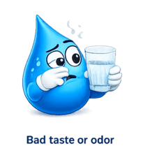 Drinking water with bad taste from reverse osmosis system