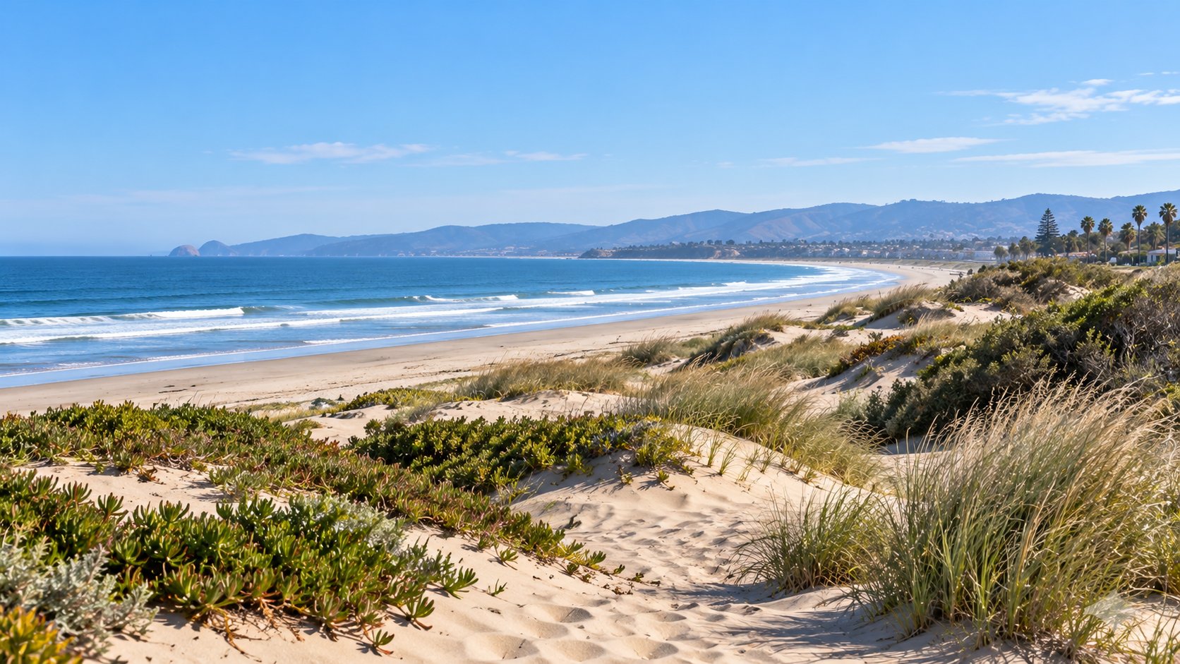 Coastal dunes and shoreline near Grover Beach