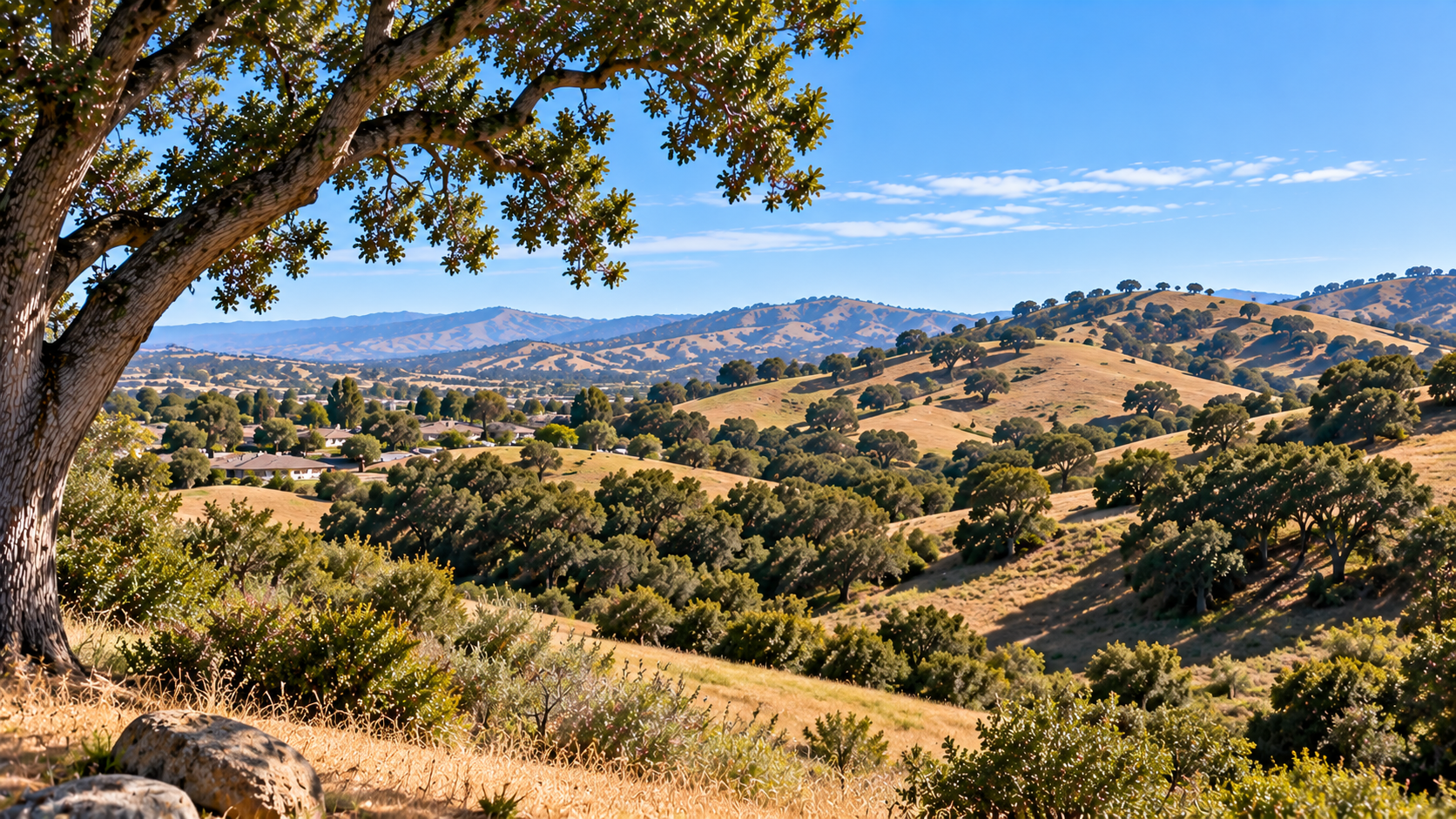 Oak-covered hills and residential areas in the Orcutt and Santa Maria Valley landscape