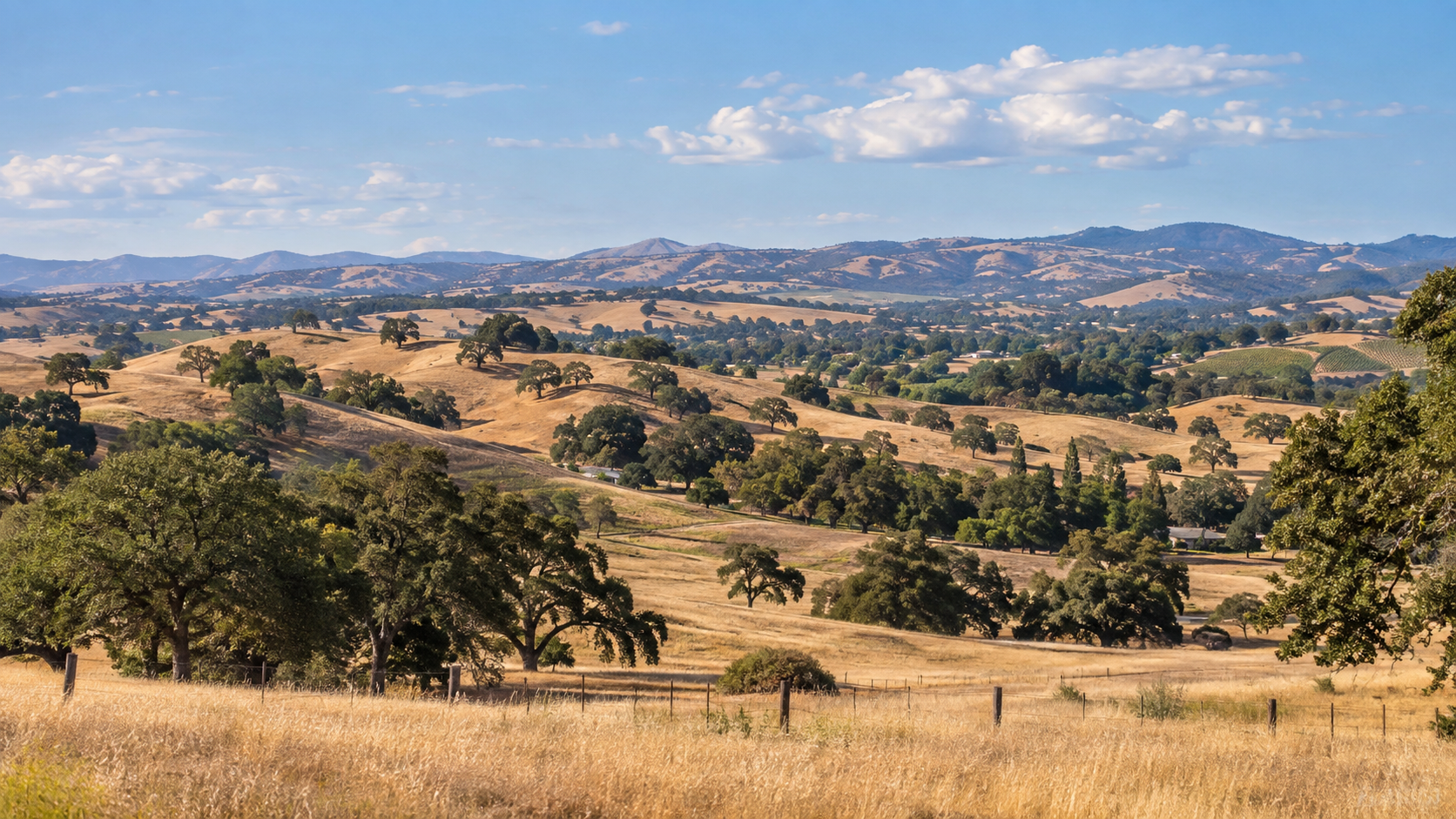 Oak-covered hills and open North County landscape near Paso Robles