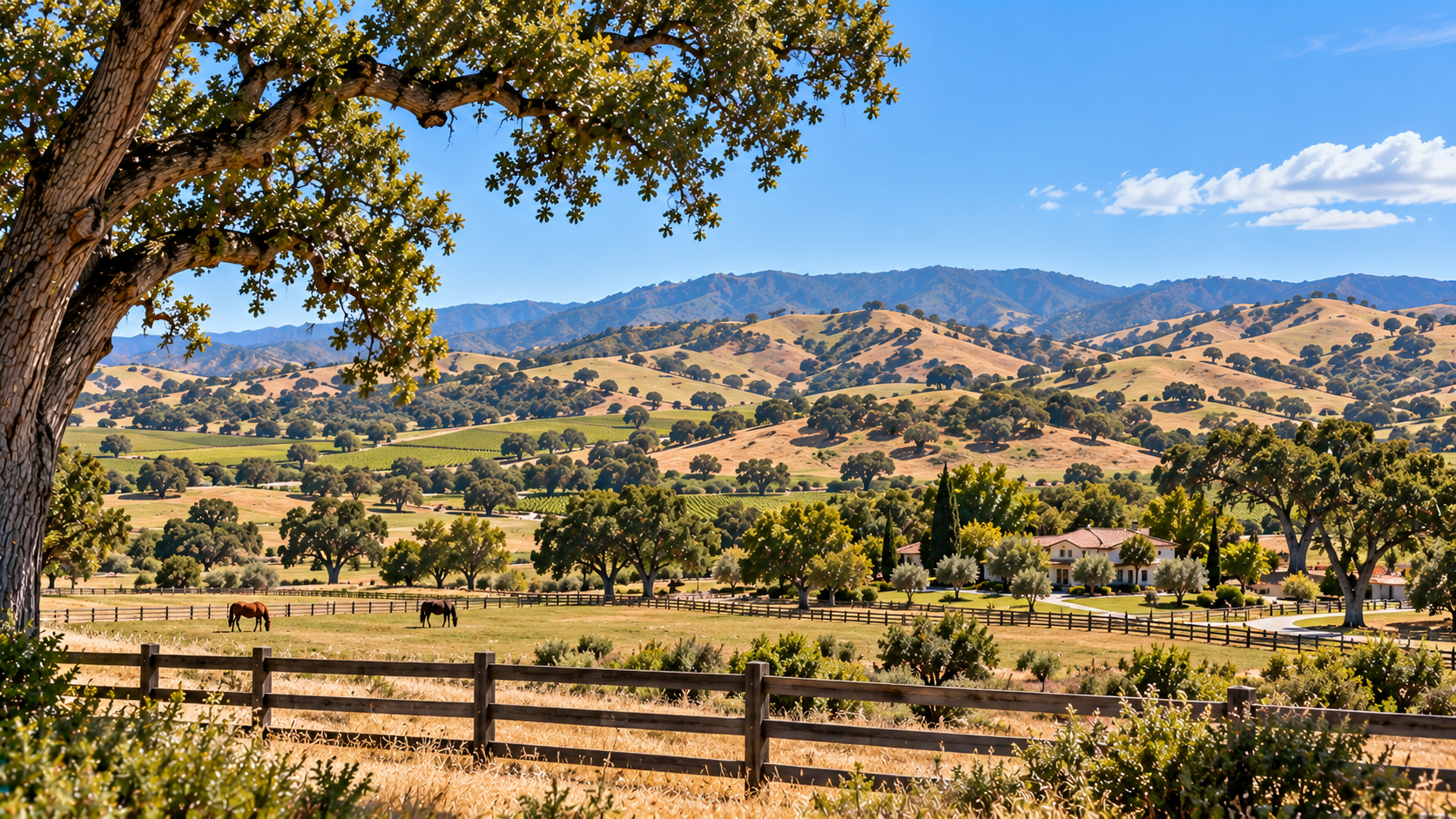Oak-covered hills and open countryside near Santa Ynez
