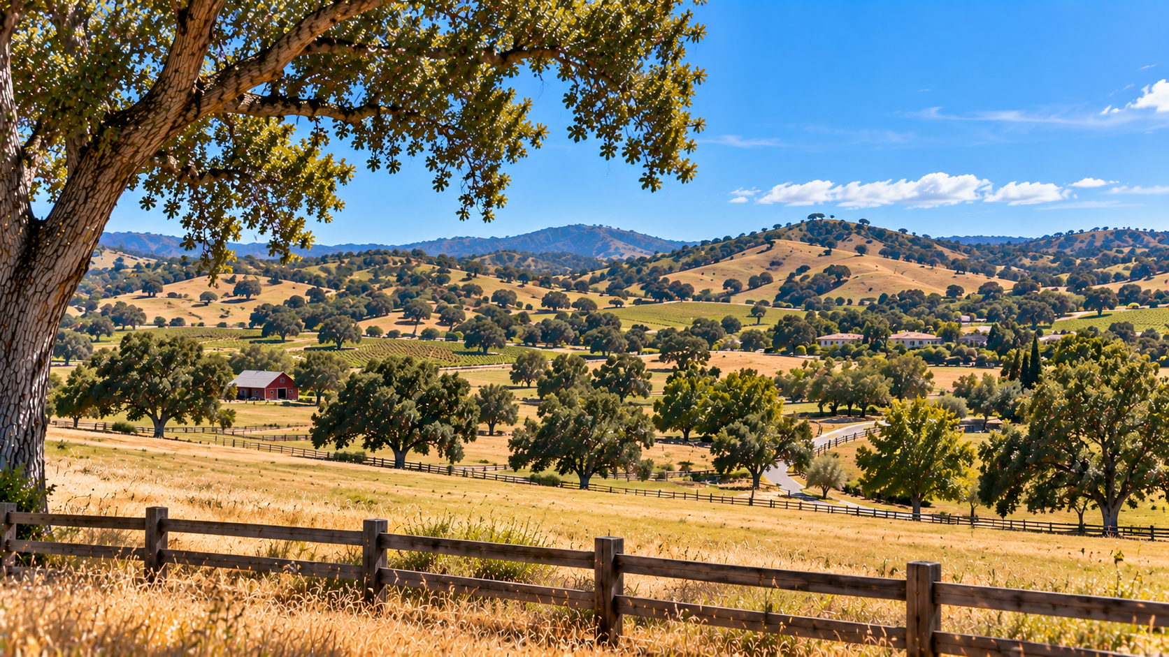 Oak-covered rolling hills and open landscape near Templeton California