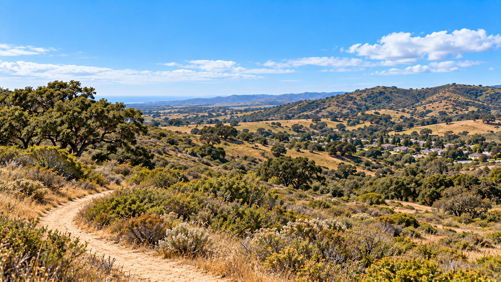 Burton Mesa landscape near Vandenberg Village with oak and chaparral